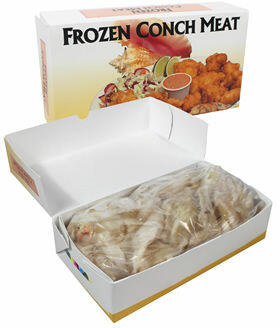 white conch/per lb