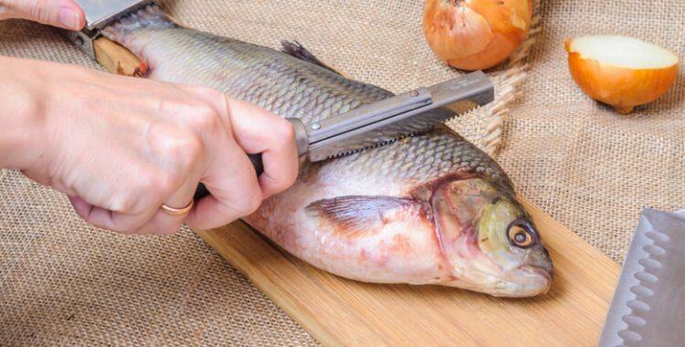 Clean Fish