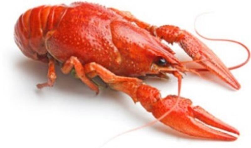 Crawfish(Lb)